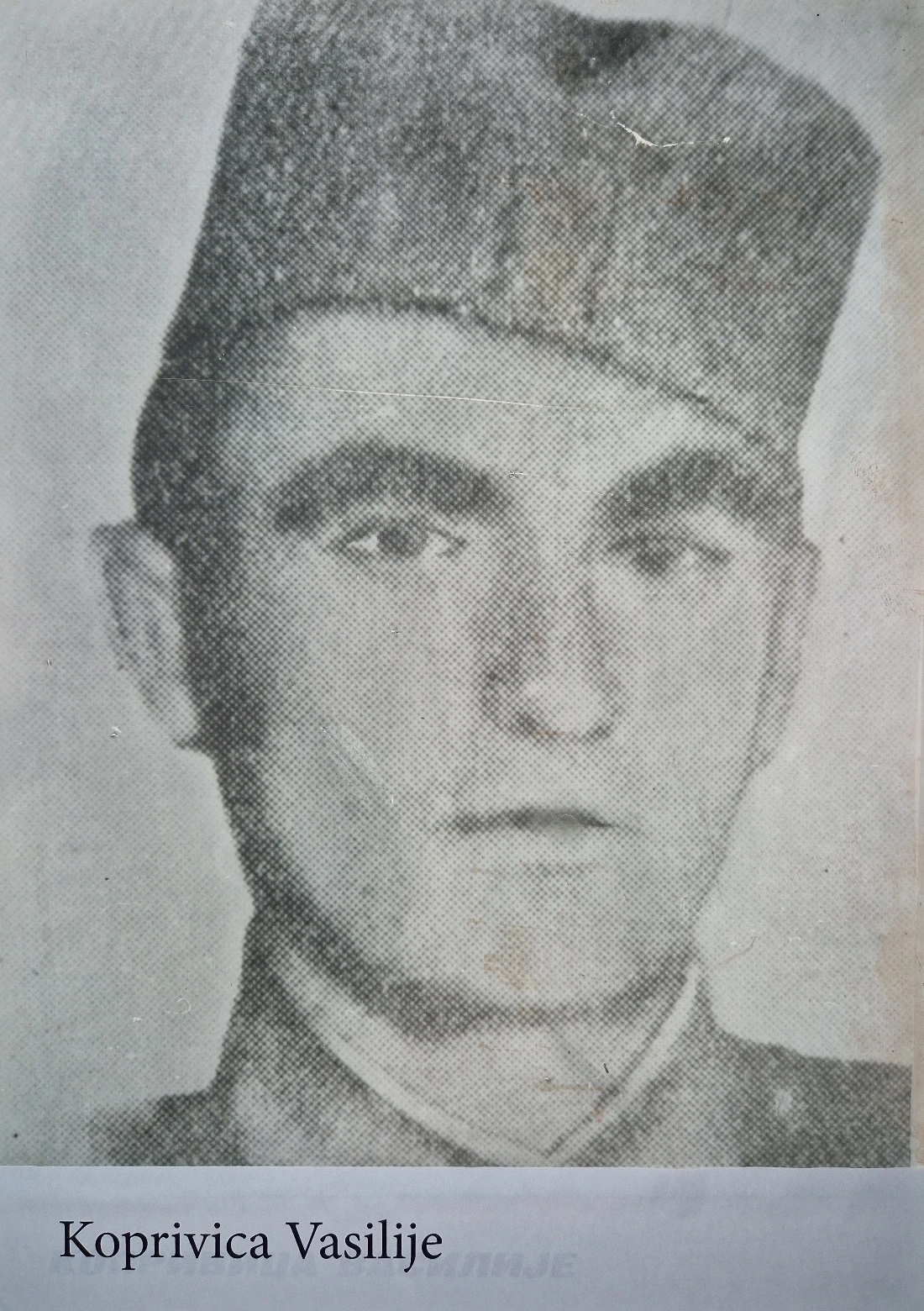 Koprivica Vasilije
