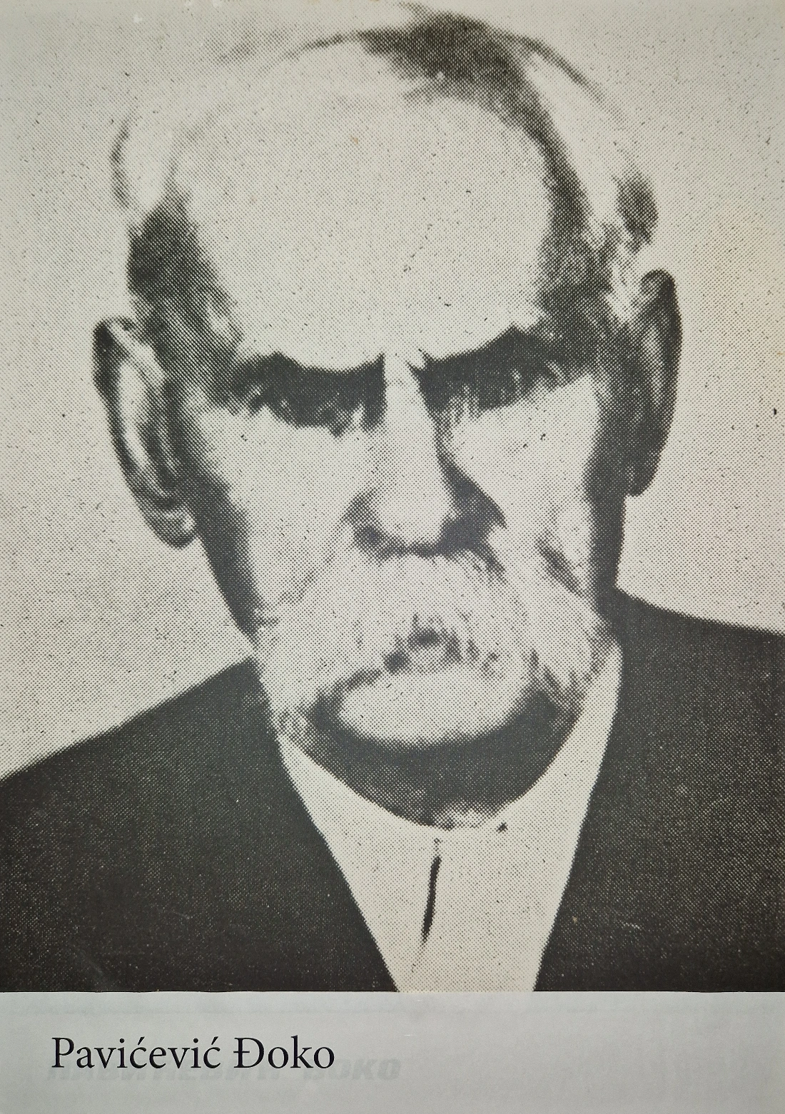 Pavićević Đoko